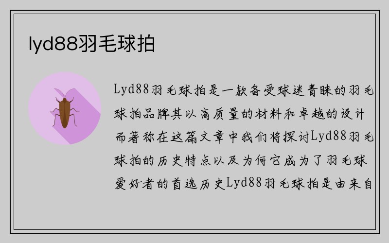 lyd88羽毛球拍